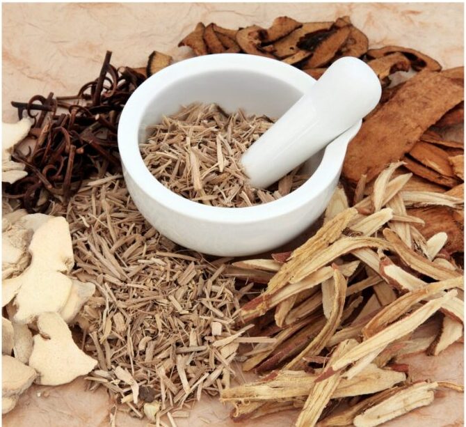 Herb, Acu, ST Images for MovingQi-1 mortar and pestle surrounded by dried herbs